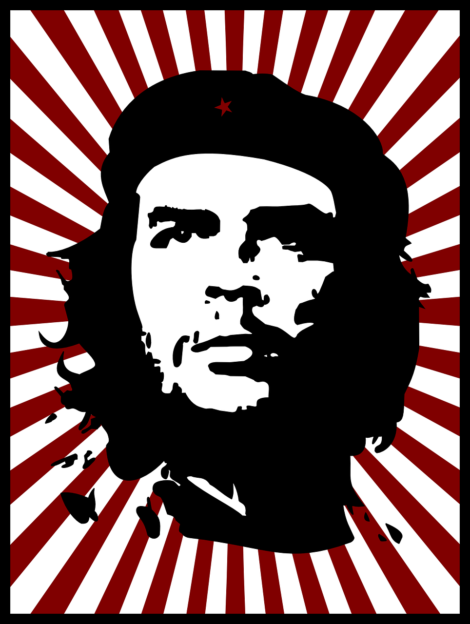 Che Guevara Ironic Capitalist
