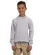 Kids Crewneck Sweatshirt - Grey
