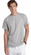 Silver| Adult T-Shirt